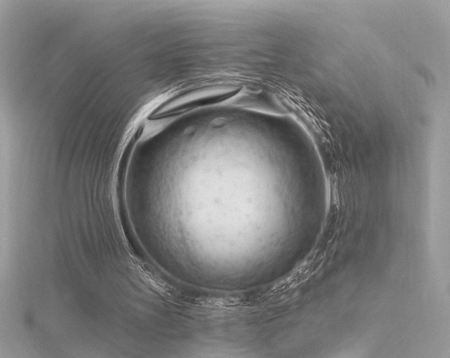 X0000116340147200912011357