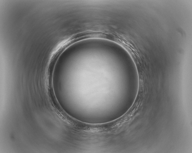 X0000116340149200912011357