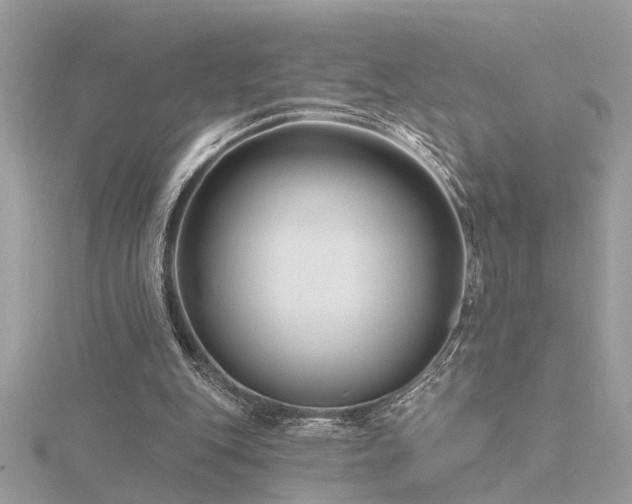 X0000116340151200912011357