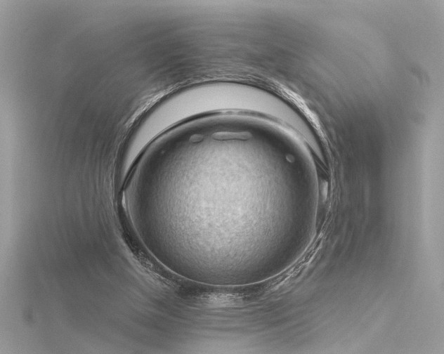 X0000116340154200912011357