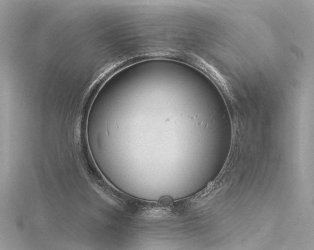 X0000116340155200912011357