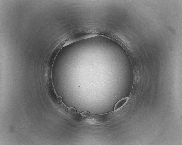 X0000116340171200912011357