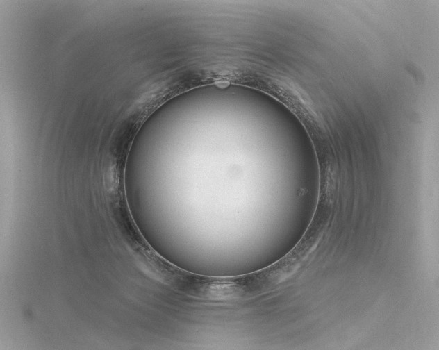 X0000116340173200912011357