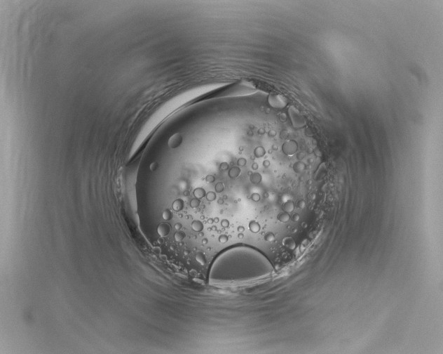 X0000116340175200912011357