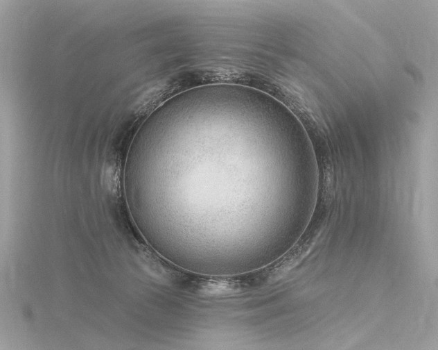 X0000116340177200912011357