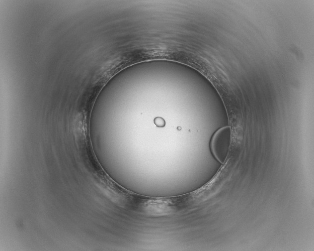 X0000116340179200912011357