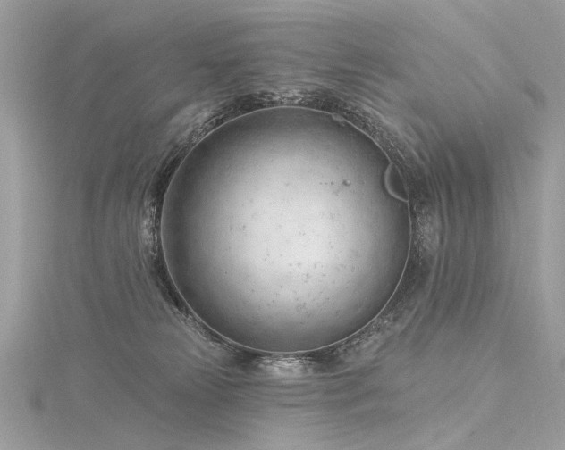 X0000116340181200912011357