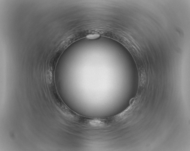 X0000116340183200912011357