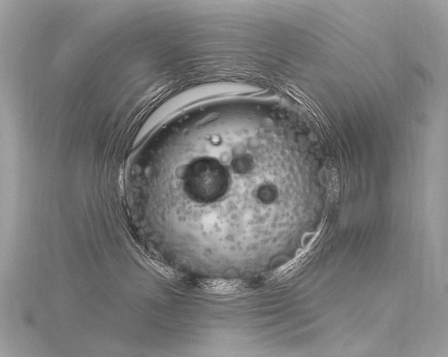 X0000116340191200912011357