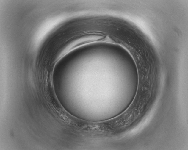 X0000116340194200912011357