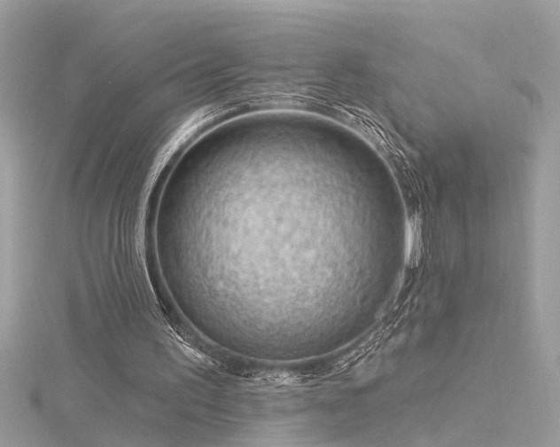 X0000116340195200912011357