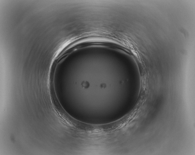 X0000116340196200912011357