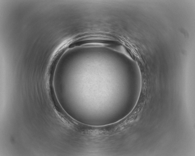 X0000116340197200912011357