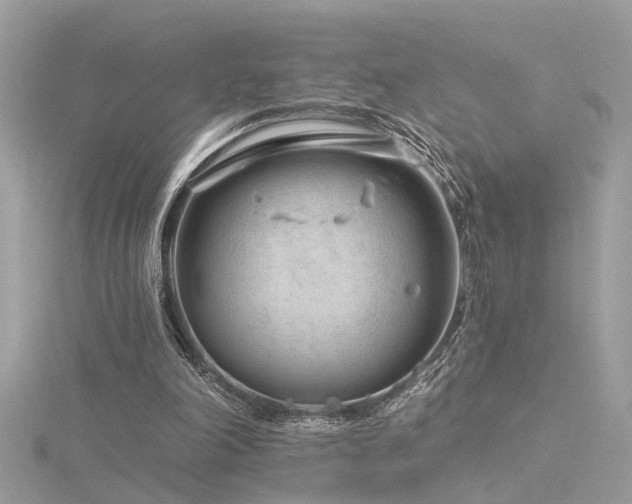 X0000116340198200912011357