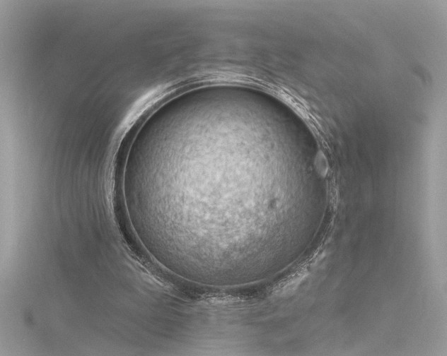 X0000116340199200912011357