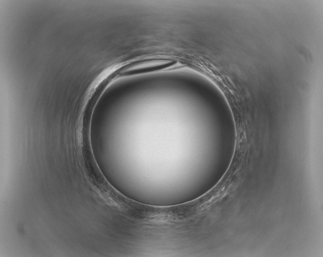 X0000116340200200912011356