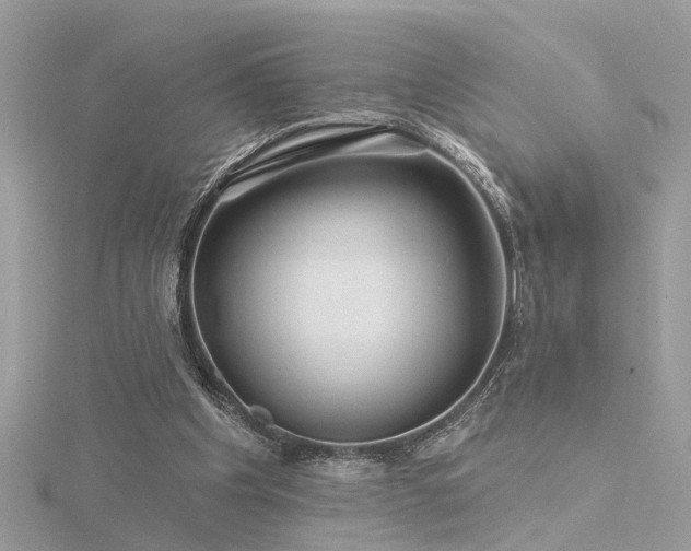 X0000116340201200912011356