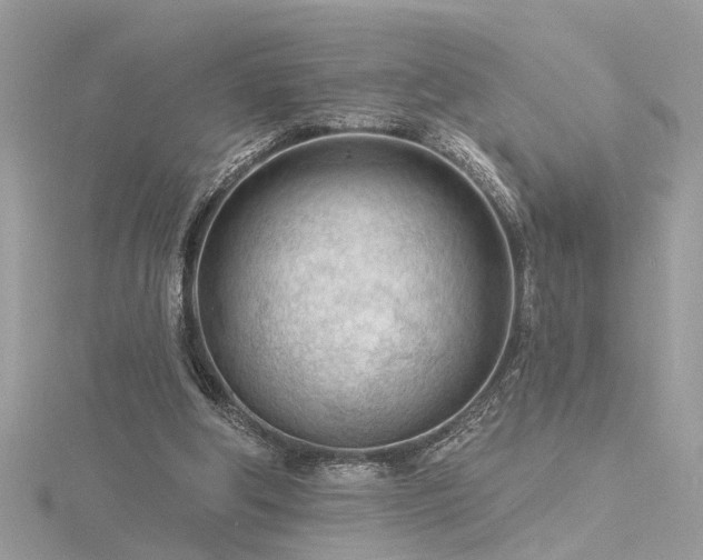 X0000116340202200912011356