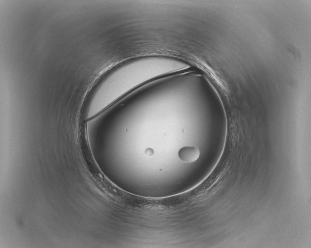 X0000116340203200912011356