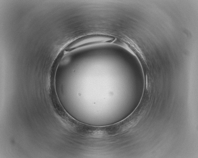 X0000116340204200912011356