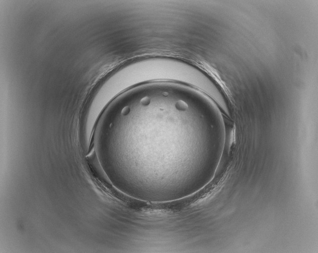 X0000116340205200912011356