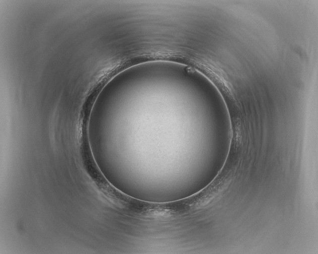 X0000116340206200912011356