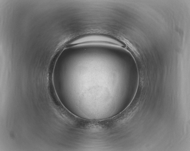 X0000116340207200912011356