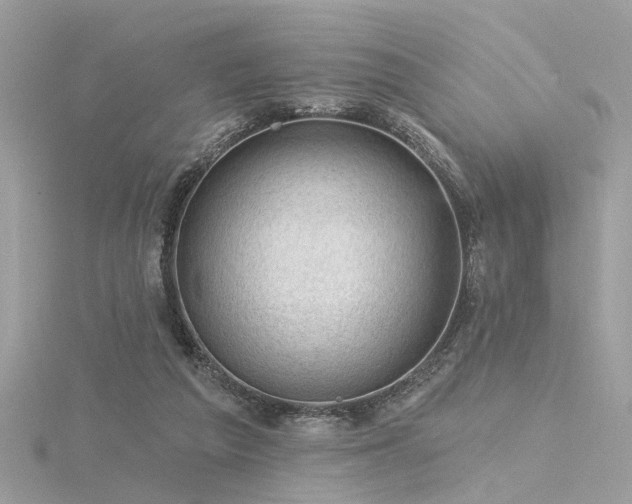 X0000116340209200912011356