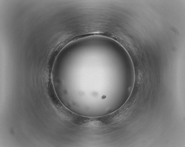 X0000116340210200912011356