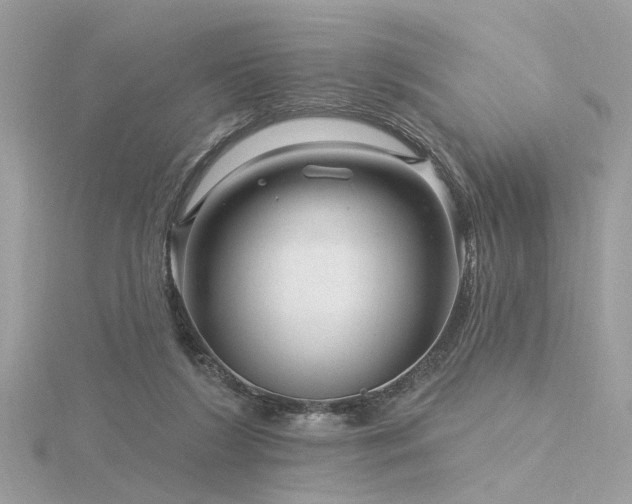 X0000116340212200912011356