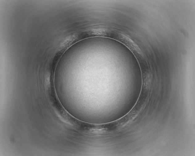 X0000116340213200912011356