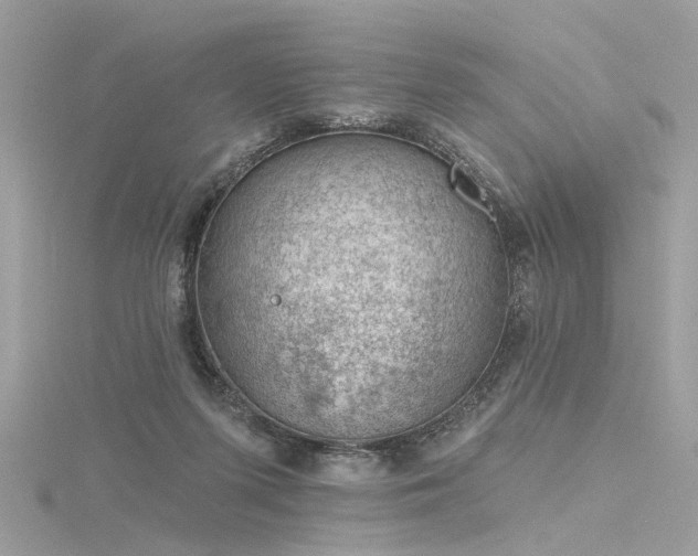 X0000116340215200912011356