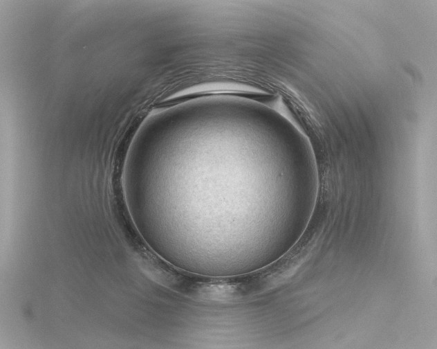 X0000116340217200912011356