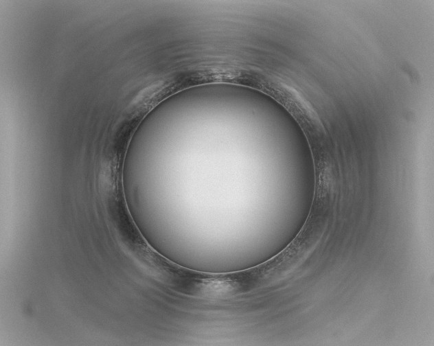 X0000116340218200912011356