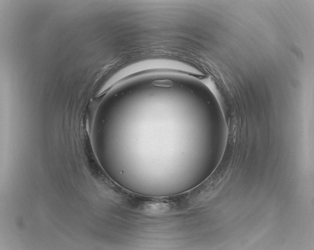 X0000116340220200912011356