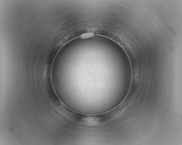 X0000116340221200912011356