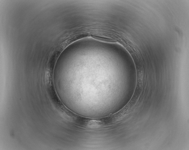 X0000116340222200912011356