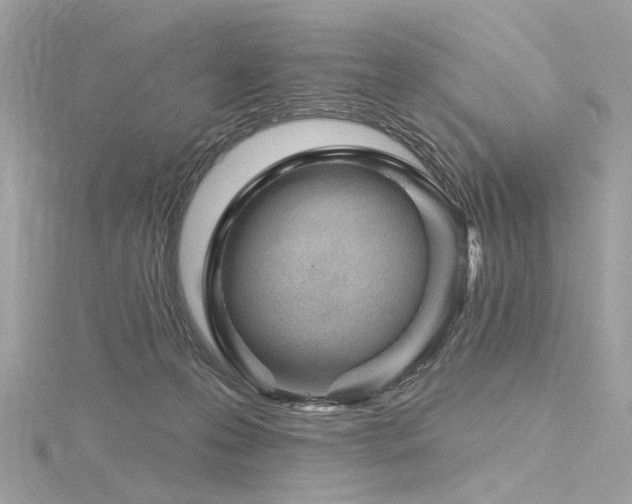 X0000116340223200912011356