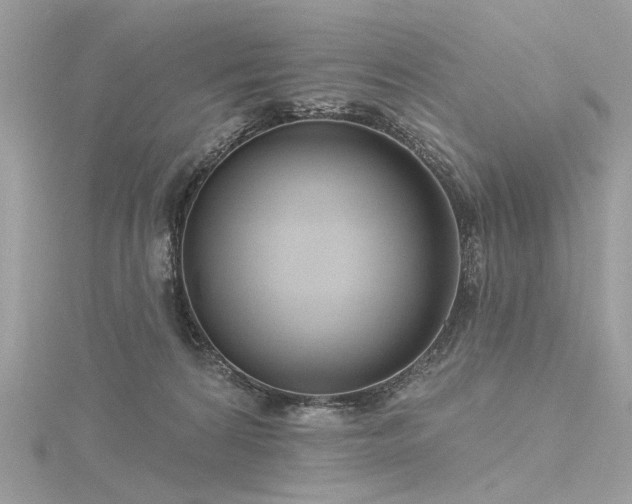 X0000116340224200912011356