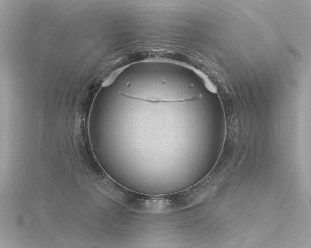 X0000116340225200912011356