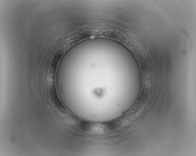 X0000116340226200912011356