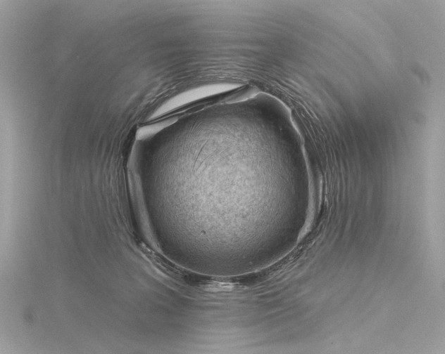 X0000116340227200912011356