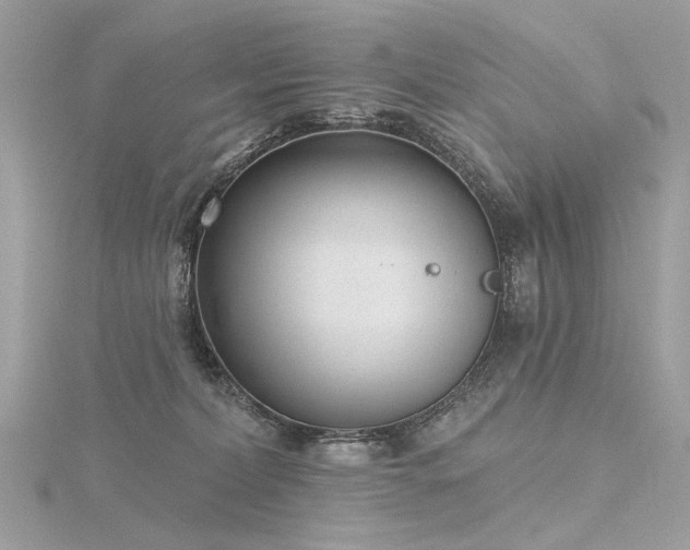 X0000116340228200912011356