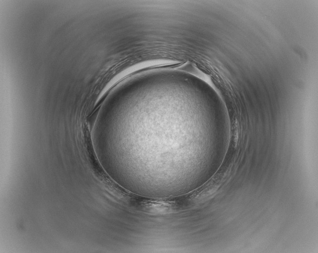 X0000116340229200912011356