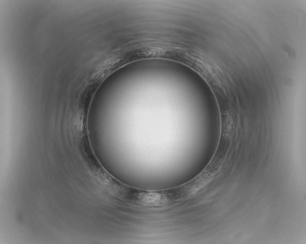 X0000116340230200912011356