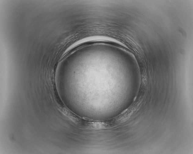 X0000116340233200912011356