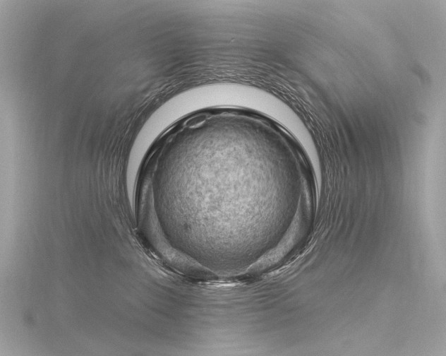 X0000116340235200912011356