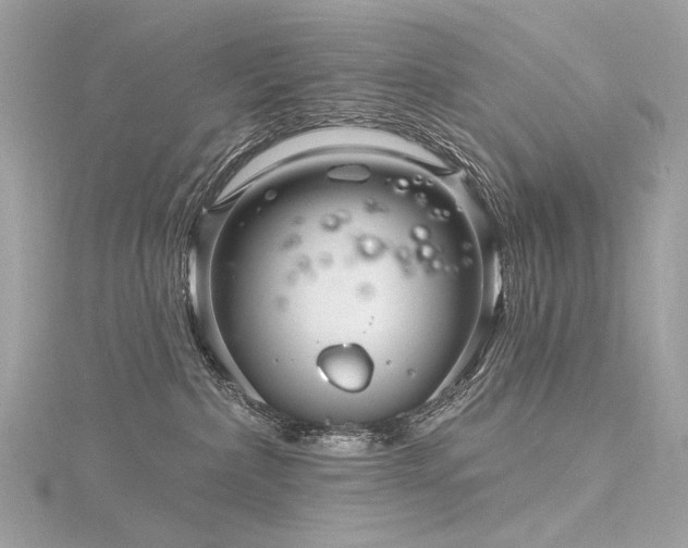 X0000116340236200912011356