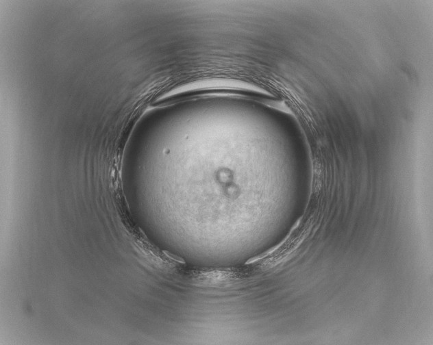 X0000116340237200912011356