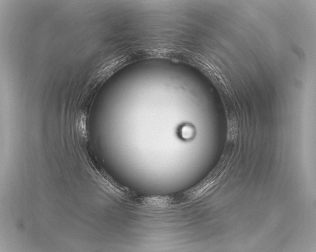 X0000116340238200912011356